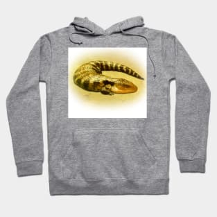 Skink Hoodie